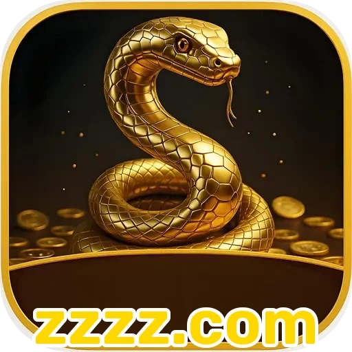 zzzz.com Promoções